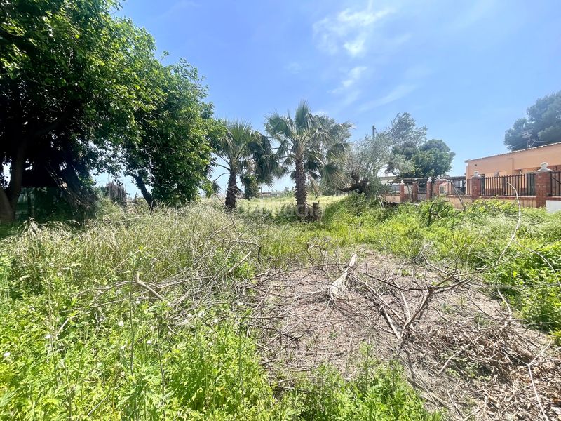 Foto b5825a7f-1687-47a9-9099-369b28a443bf. Masia a cv-2250 6 a Moncófar Pueblo Moncofa