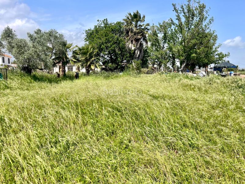 Foto ee0f6838-d82b-47b5-9952-8880b9d6677d. Masia a cv-2250 6 a Moncófar Pueblo Moncofa