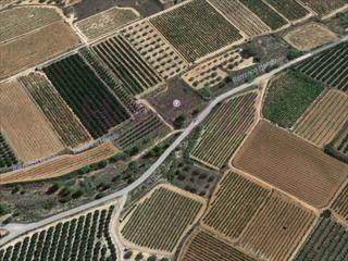 Finca rústica a Cheste. Terreno secano sin cultivar a 2 km de cheste, a pie de camino as