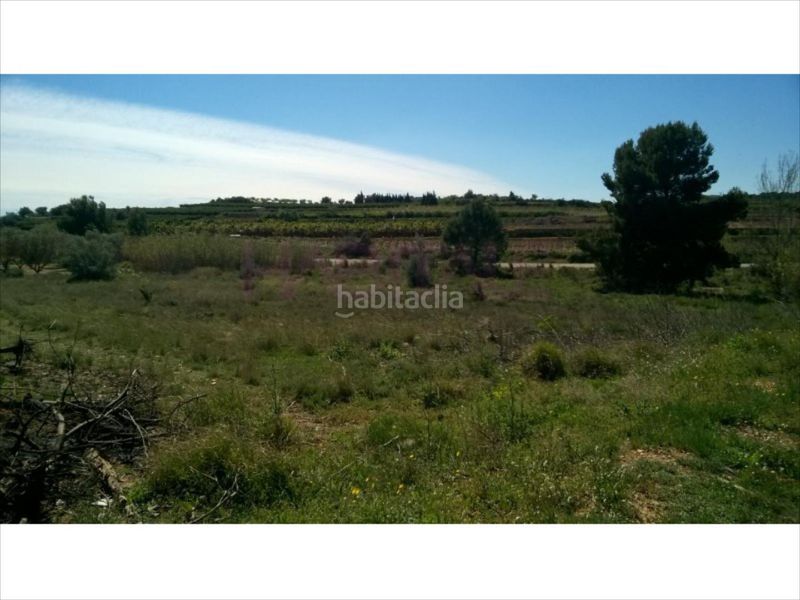 Foto 97cbd0c0-8733-4086-892c-fcfbec11c026. Propriété dans Cheste