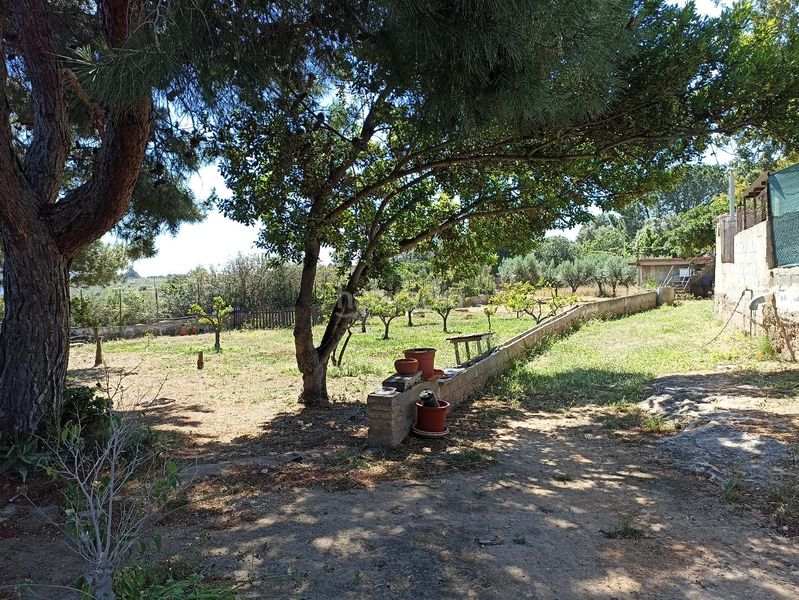 Foto 4787f1e1-830e-4a87-bdcf-46e816214858. Casa amb piscina a Cheste