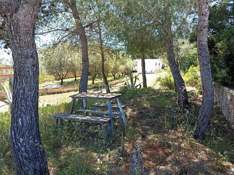 Foto 674e5bd9-6e7e-4194-b8b1-aab16b017f15. Casa amb piscina a Cheste