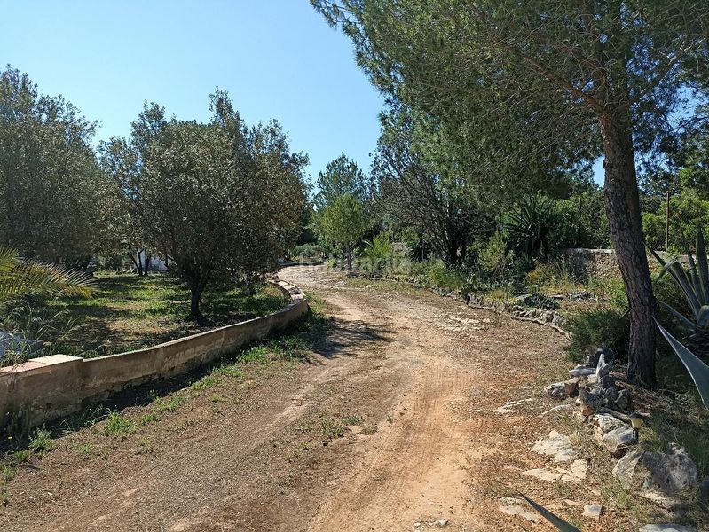 Foto ba70f935-4aed-4932-b514-eb862c7ea9fb. Casa amb piscina a Cheste
