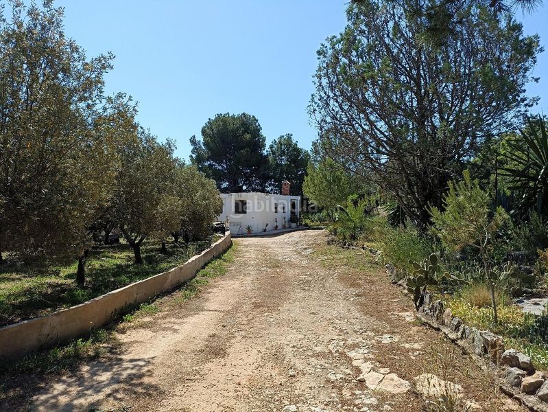 Foto e4ba8a71-4fd4-471a-b018-65003943773c. Casa amb piscina a Cheste