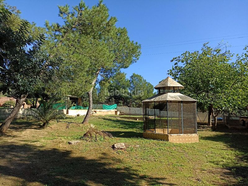 Foto 0b347ce5-34e1-4b75-8dae-97e67883dfe2. Casa con piscina in Cheste