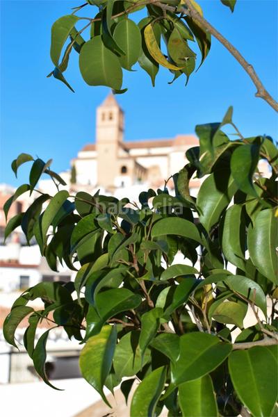 Foto 0d1b7620-7c8c-4469-824d-908fc7ae2792. Casa  de pueblo con 2 azoteas! en Centro Histórico Vélez - Málaga