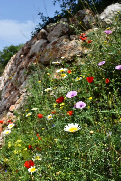 Foto cb29f2f5-890a-4d5b-820d-6ae661489687. Casa a n/a a Viñuela