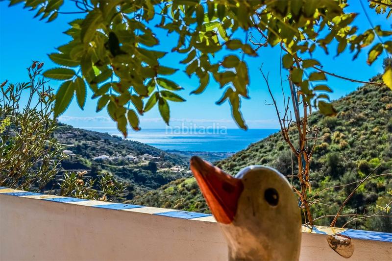 Foto e0ccf760-a28c-455e-9095-abf4833d56f0. Casale in calle andalucia 10 in Arenas