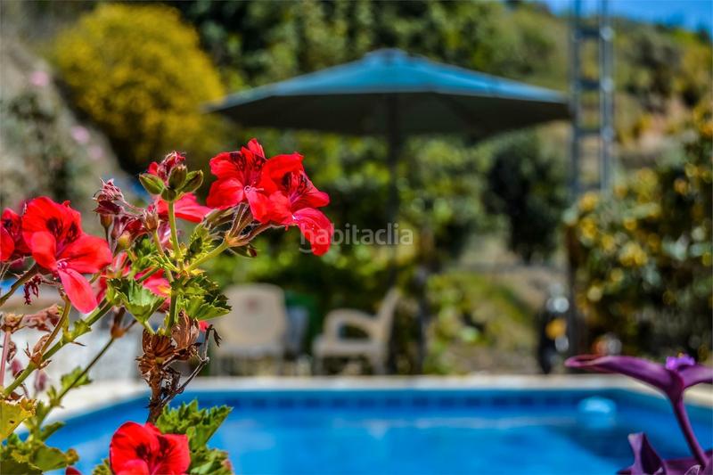 Foto afe51ead-8835-463c-a790-686897cf59b3. Casa  rustica con piscina en linda ! en Sedella