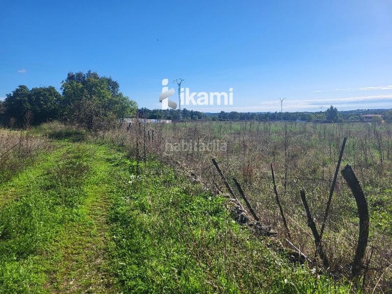 Foto 02a23583-fd28-4992-a69d-51fcf8e1b426. Finca rústica a Miraflores de la Sierra