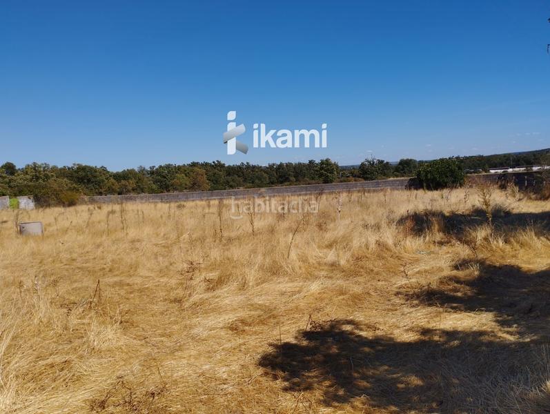 Foto 68f8cdcb-ff78-4855-9cb5-08871ada8245. Finca rústica a Miraflores de la Sierra