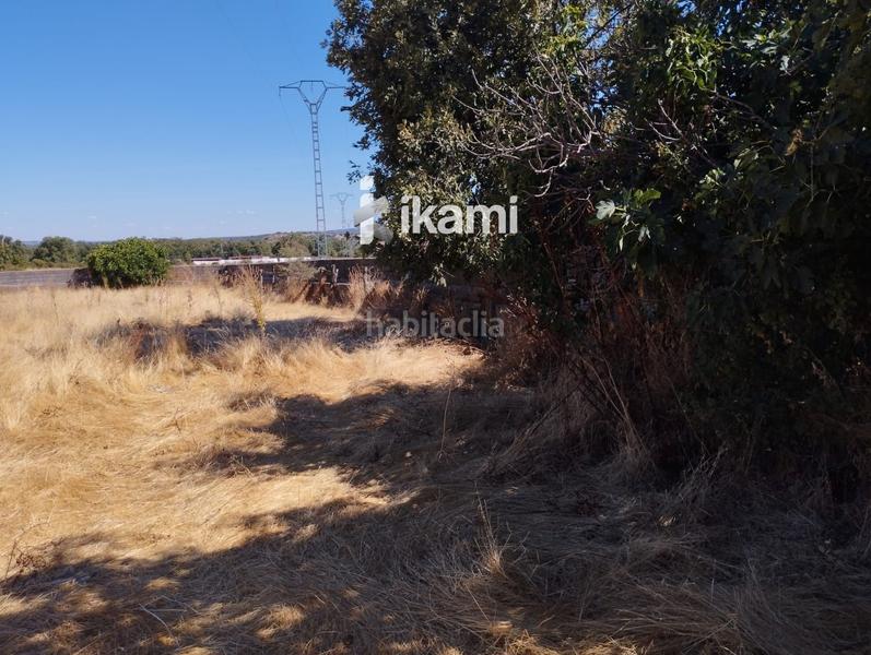 Foto 8d5f2432-54fd-4807-95bb-ec594210c723. Finca rústica a Miraflores de la Sierra