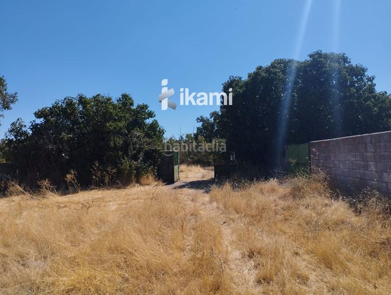 Foto 993e1430-9463-41c6-a68e-8426c8ae7c36. Finca rústica a Miraflores de la Sierra