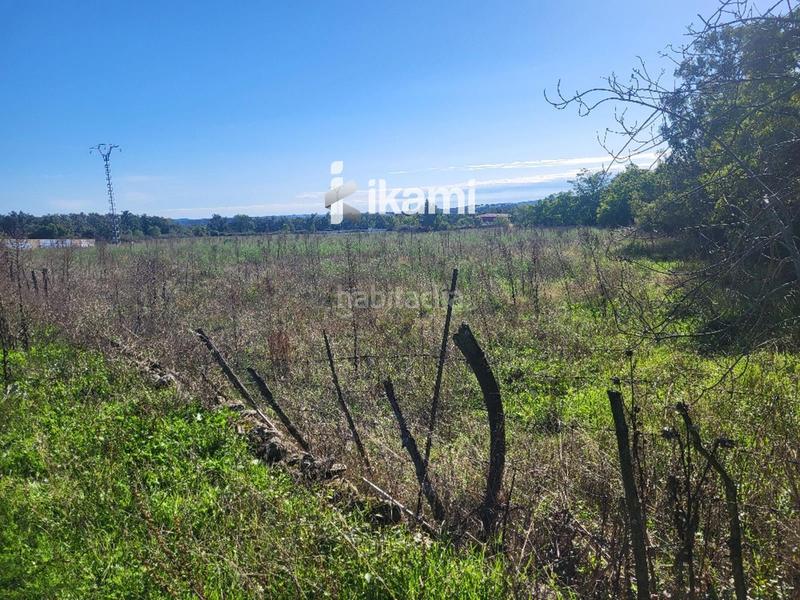 Foto f5de0555-a97b-48d5-8c4e-2ea0a9bcc596. Finca rústica a Miraflores de la Sierra