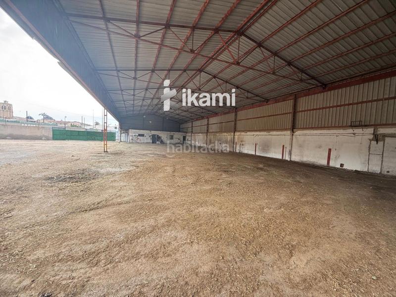 Foto 1579767a-deaa-40c5-933b-7ff9426bb9f1. Rural plot in Orihuela ciudad Orihuela