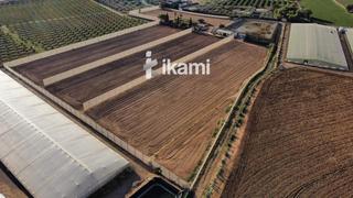 Rural plot  N/a. En torre pacheco