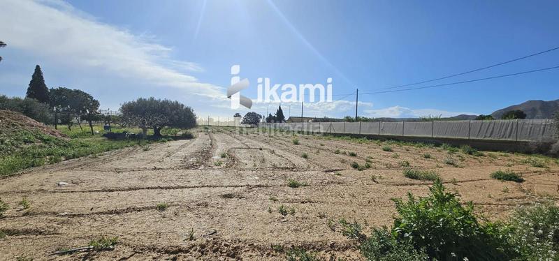 Foto 037a3a25-a68c-4a15-9337-958a1cfa9c23. Fondo rustico in Balsicas Torre - Pacheco