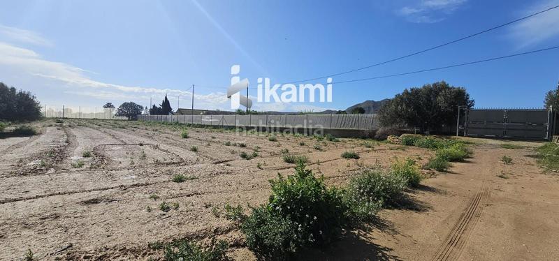 Foto 0fb6507d-aa3a-43c5-873f-50f9a5fc1bf4. Fondo rustico in Balsicas Torre - Pacheco