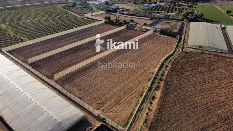 Foto 13fa315d-c4dc-4fd4-9ea0-dde3c7a21d44. Fondo rustico in Balsicas Torre - Pacheco