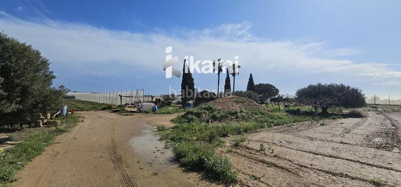 Foto 1beeb34b-47b6-4648-895b-86e0c9492f8f. Fondo rustico in Balsicas Torre - Pacheco