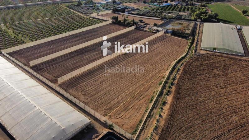 Foto 257939d1-4a26-4d2b-90b8-c95cbd532525. Fondo rustico in Balsicas Torre - Pacheco