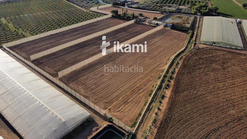 Foto 2cb9900b-6697-40b0-8350-62fc54c260f4. Fondo rustico in Balsicas Torre - Pacheco