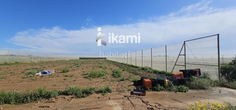 Foto 438623cf-2f38-48f6-93a2-1ac016e99757. Fondo rustico in Balsicas Torre - Pacheco