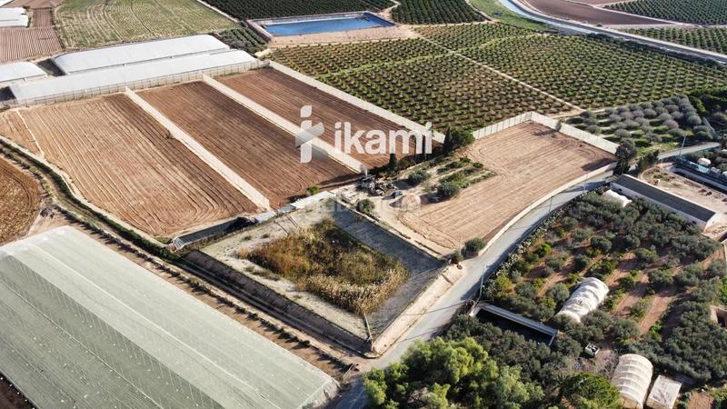 Foto 47351837-156c-41f5-aac8-390625064189. Fondo rustico in Balsicas Torre - Pacheco