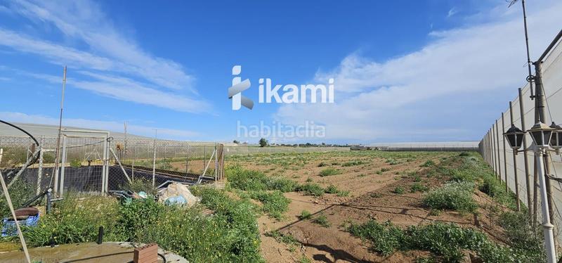 Foto 5c41dacb-683a-4e01-b0a8-1a98839d922a. Fondo rustico in Balsicas Torre - Pacheco