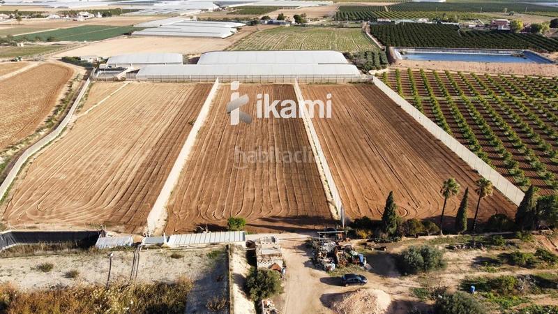 Foto 5d35fb84-3392-4c7e-b1ee-1cdd367c7d35. Fondo rustico in Balsicas Torre - Pacheco