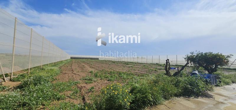 Foto 5ebed9c9-c257-49fb-b54d-8c85178e436e. Fondo rustico in Balsicas Torre - Pacheco