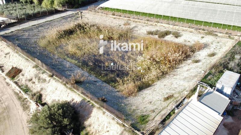 Foto 6d65426d-5324-4baa-be3d-461dbd797ba9. Fondo rustico in Balsicas Torre - Pacheco