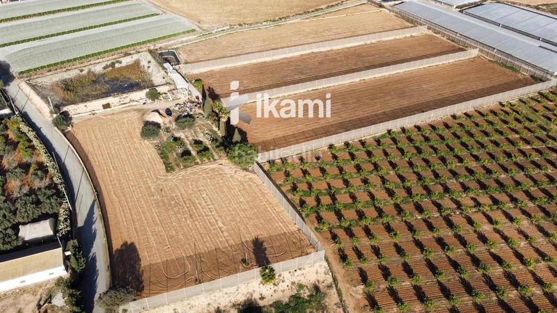 Foto 73e31115-6aab-4295-84d8-12dc981aafff. Fondo rustico in Balsicas Torre - Pacheco