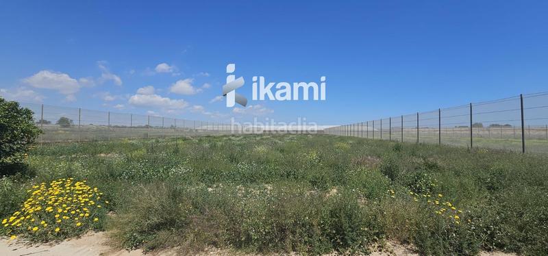 Foto b33a9e08-130a-4a2d-aa16-db82f22c21f6. Fondo rustico in Balsicas Torre - Pacheco