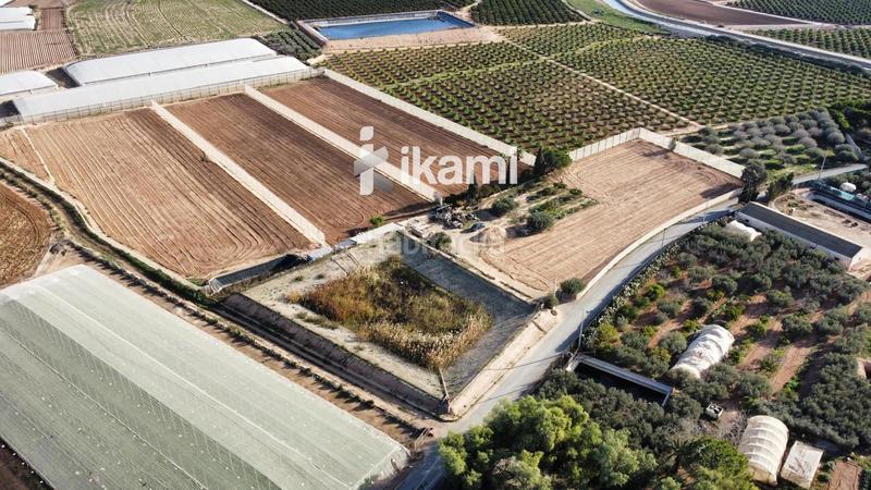 Foto b49c2418-dd69-4324-a49f-d2e502854a45. Fondo rustico in Balsicas Torre - Pacheco