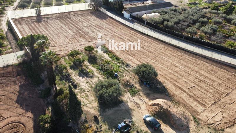 Foto d470d460-bea0-4c88-8ab3-bd1d1d237ea5. Fondo rustico in Balsicas Torre - Pacheco