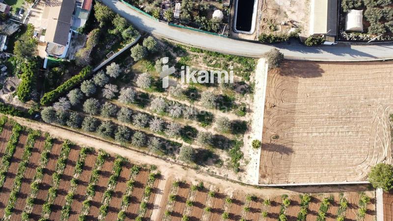 Foto f8d59900-9b2c-4793-b195-e692988de83d. Fondo rustico in Balsicas Torre - Pacheco