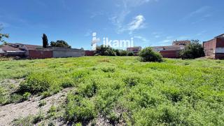 Finca rústica  Toledo. Atención inversores! oportunidad única en cebolla toledo