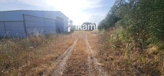 Nau industrial  Puente de arzobispo a oropesa poligono 1. Nave 1.500 mts  parcela 15.000m2  pozo agua 30.000 litroshora