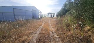 Nau industrial  Puente de arzobispo a oropesa poligono 1. Parcela 15.000m2  nave 1.500m2 y pozo agua mineral 30.000 litros