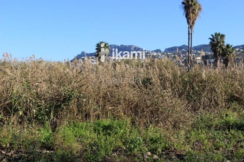 Foto 23703d6f-f6af-4896-92b4-d812ec1052fb. Rural plot in Pego