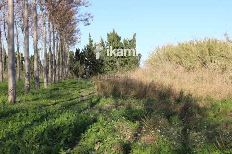 Foto 3a8c10ac-1bda-46ef-98f6-a02466ea75fa. Rural plot in Pego