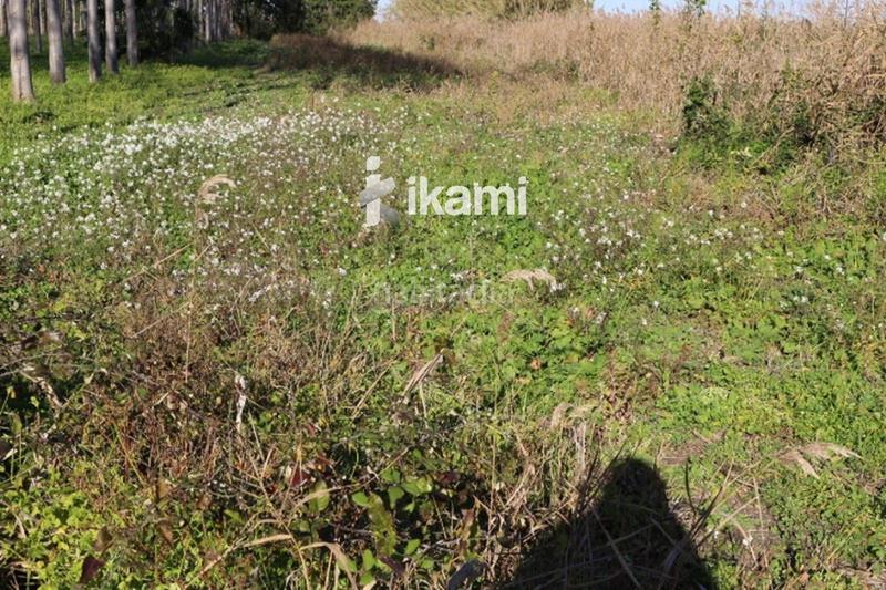 Foto 3f20d6ab-8801-4b8e-b0ea-e34efc3e9613. Rural plot in Pego