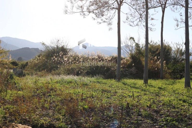 Foto 4847f8f6-d421-4993-b737-cc70112087e6. Rural plot in Pego