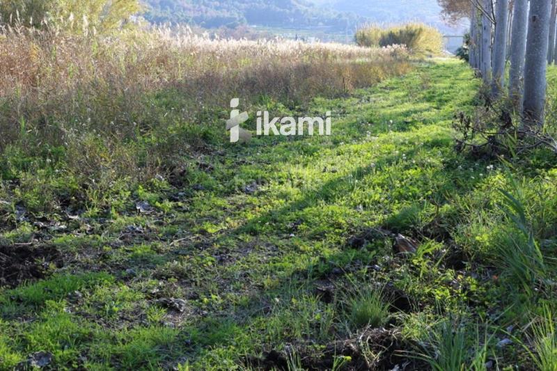 Foto 4eedb149-db8d-4e7f-91b5-39e3a95b47e8. Rural plot in Pego