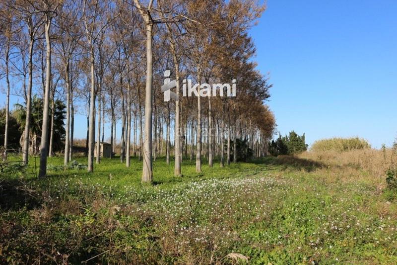 Foto 7c200fb4-df31-4eb4-80a4-61a559a90f4e. Rural plot in Pego