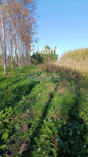 Foto 965d10c2-1518-4278-868a-3d3cbaa027b8. Rural plot in Pego