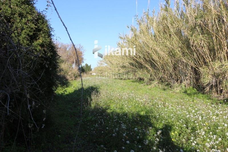 Foto ac28087f-1720-4390-b939-216a1a408da6. Rural plot in Pego
