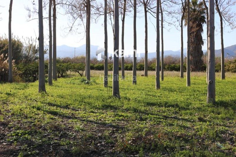 Foto d0de3d53-2230-47ca-a42c-38708b1d2ae4. Rural plot in Pego