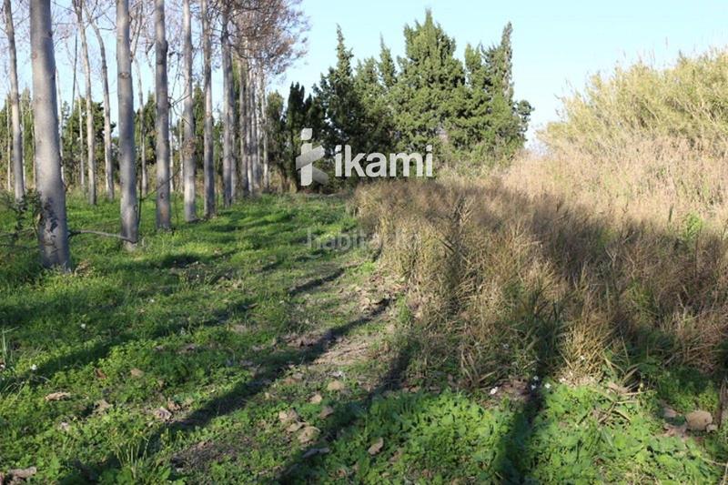 Foto d6b468c3-7cb0-4a9f-8fb9-1b6be20ee5b1. Rural plot in Pego